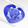 
															Tanzanite bleu violacé vif/profond - 8,89 ct
														