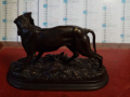 
															bronze chien épagneul à l'arrêt signé Jules Moigniez
														