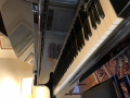 
															PIANO BOSSENDORFER  200
														